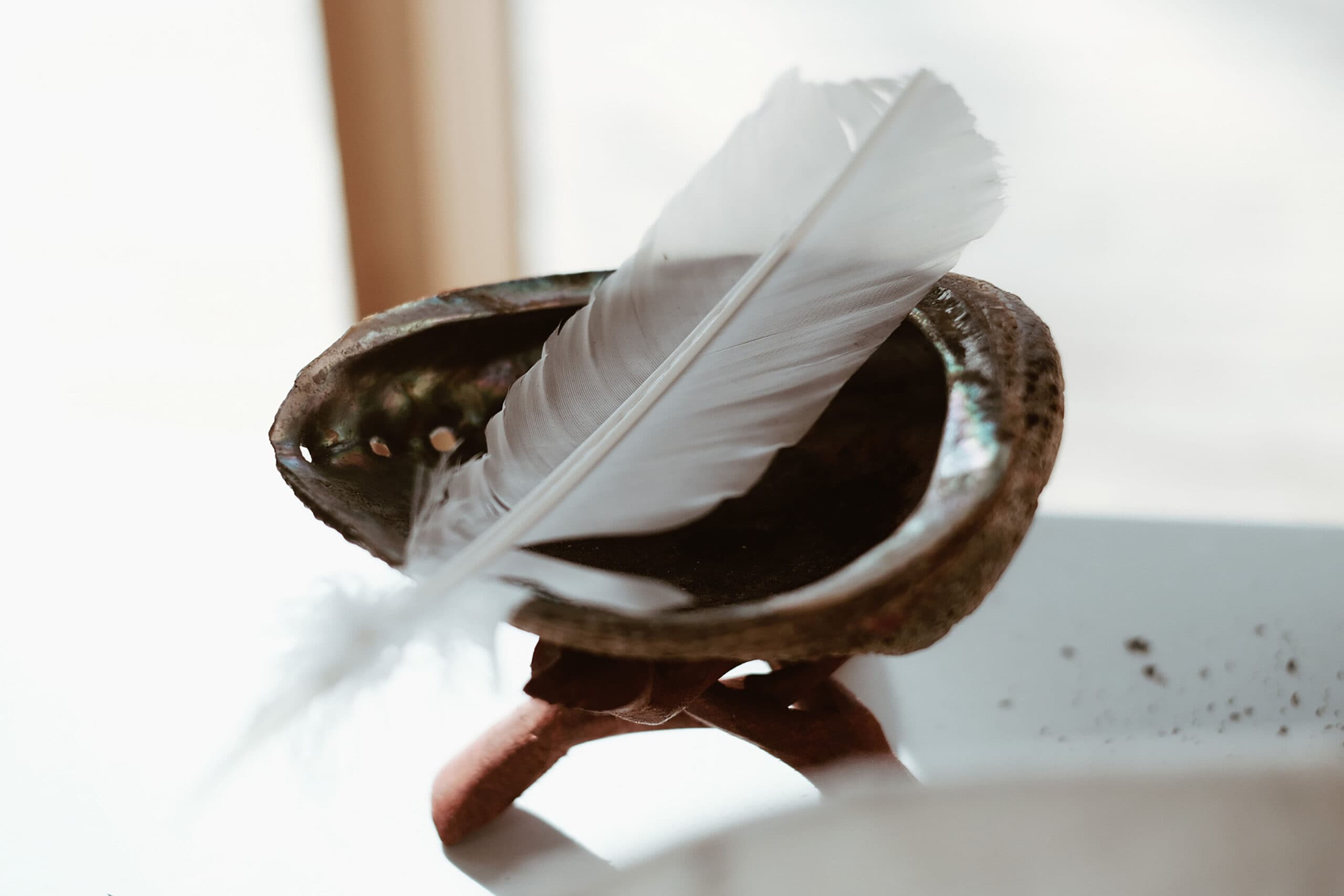 Un bol de smudge en coquille d'ormeau avec une plume blanche placée au centre.