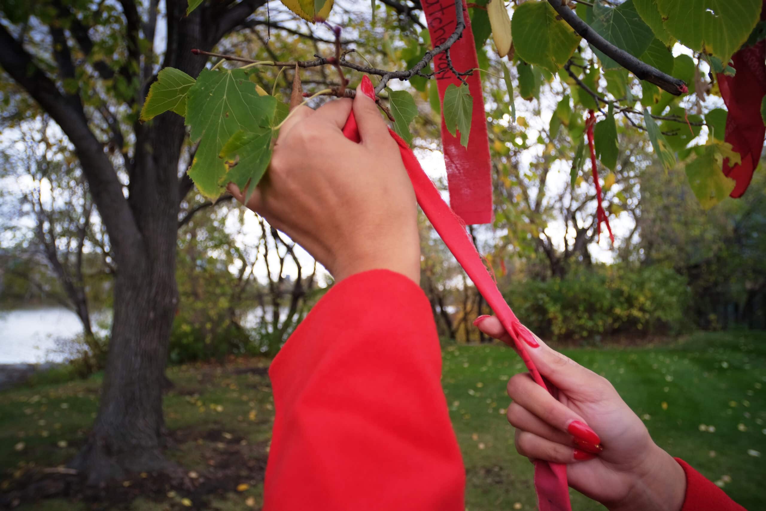 A woman with long red nails ties a red ribbon in a tree to commemmorate a loved one impacted by the MMIWG2S+ crisis.